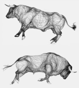 bull
